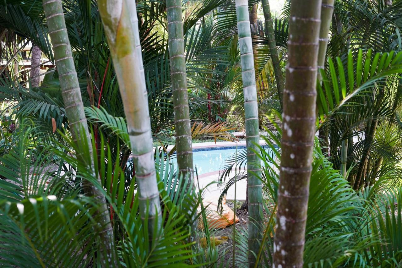 Hotel Luz De Luna Playa Santa Teresa  Exteriör bild